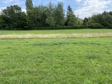 Terrain constructible à vendre 101 600 € 3 320 m² de terrain Bavilliers 90800