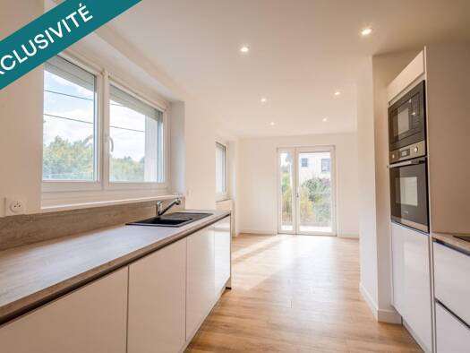 Maison à vendre 268 000 € 7 pièces 4 chambres 210 m² 750 m² de terrain Baccarat 54120