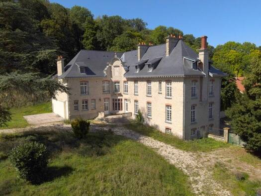 Château à vendre 1 580 000 € 14 pièces 8 chambres 537 m² 50 832 m² de terrain Méry-Prémecy 51390