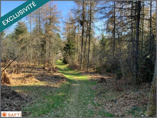 Propriété de loisirs à vendre 62 000 € 15 821 m² de terrain Le Tholy 88530