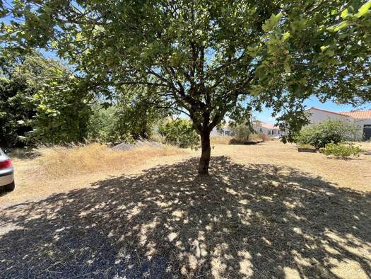 Maison à vendre 258 500 € 3 pièces 2 chambres 71,5 m² 2 530 m² de terrain Brem-sur-Mer 85470