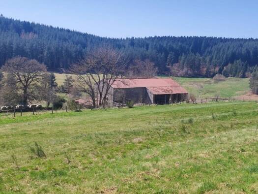 Terrain constructible à vendre 55 000 € 1 990 m² de terrain Riotord 43220