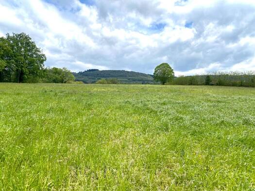 Terrain constructible à vendre 26 000 € 791 m² de terrain Balanod 39160