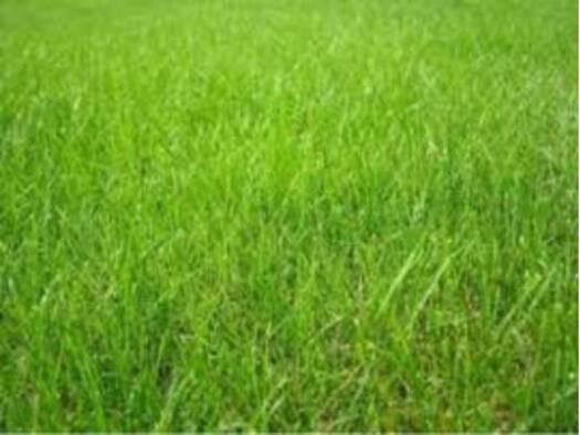 Terrain constructible viabilisé à vendre 40 000 € 400 m² de terrain La Chapelle-aux-Filtzméens 35190