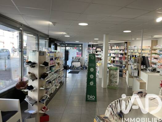 Immeuble à vendre 250 000 € 200 m² Vieux Chateau Pouzauges 85700