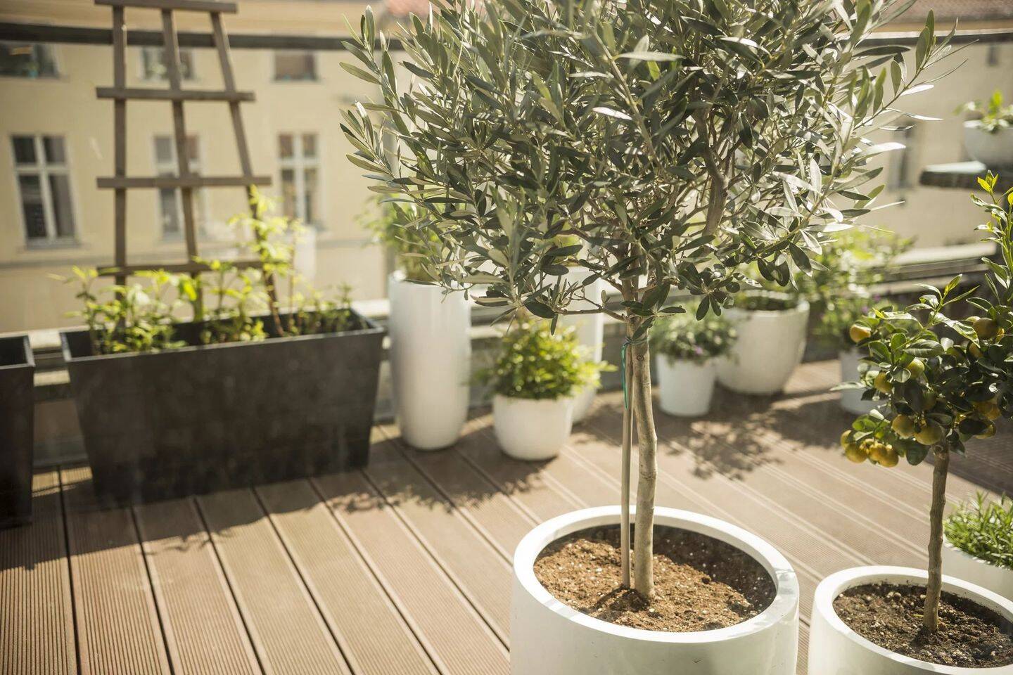 Appartement 2 pièces 46 m² · à Paris 20ème Arrondissement · 46 m² · 640 000 €