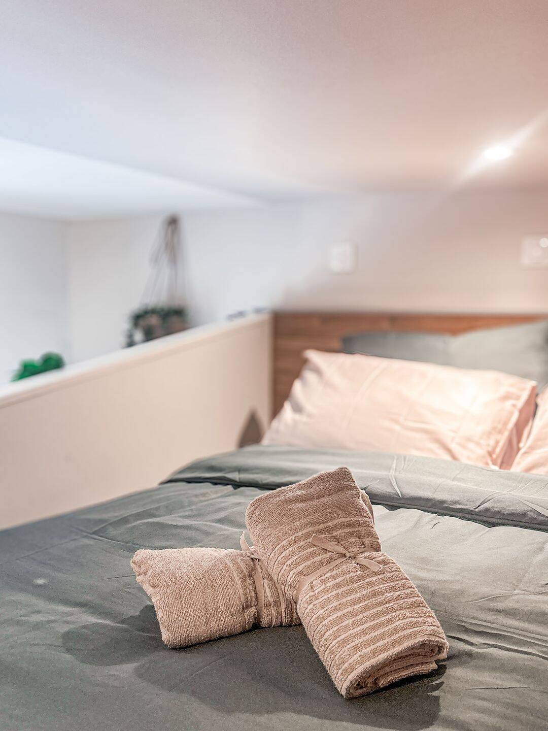Appartement 1 pièce 15 m² · à Castres · 15 m² · 500 €