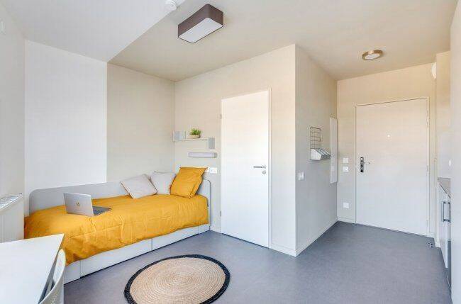 Appartement 1 pièce 18 m² · à Palaiseau · 18 m² · 915 €/mois