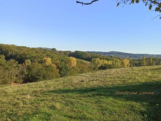 Terrain constructible à vendre 28 990 € 1 973 m² de terrain Saint-Pantaléon-de-Larche 19600