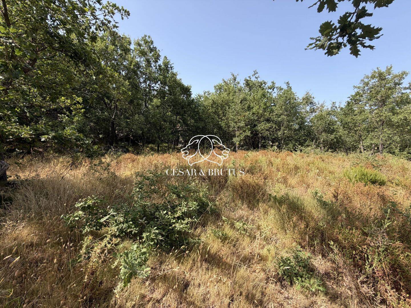 Terrain de 974 m² à Murato - photo 2