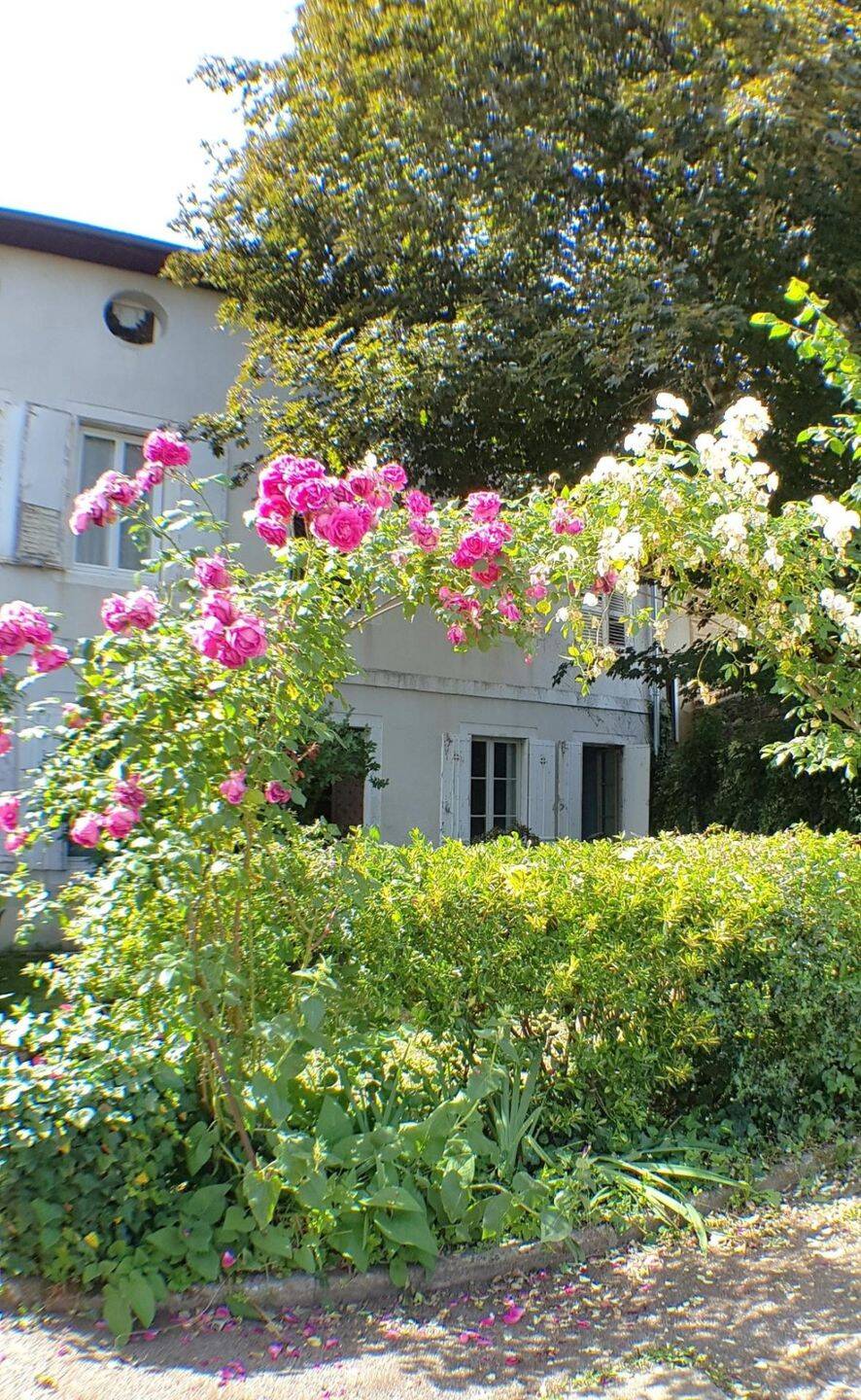 Appartement 2 pièces 67 m² · à Aixe-sur-Vienne · 67 m² · 79 000 €