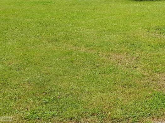 Terrain constructible à vendre 55 120 € 1 831 m² de terrain Aubérive 51600