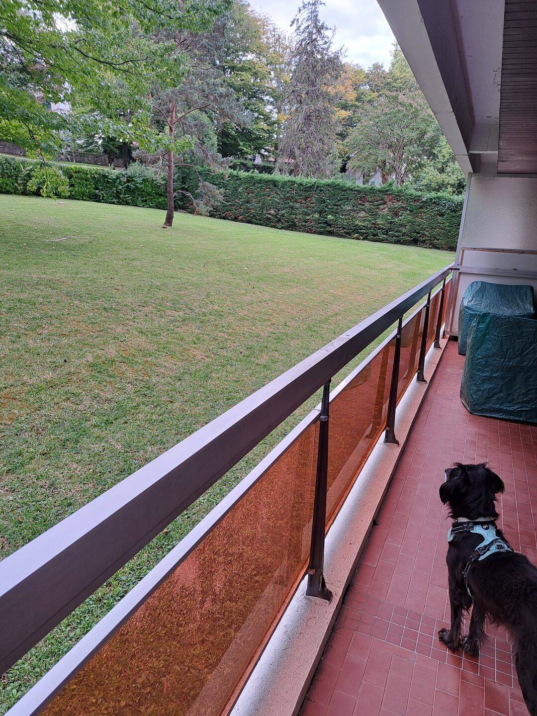 Appartement 1 pièce 34 m² · à Saint-Jean-de-Luz · 34 m² · 870 €/mois