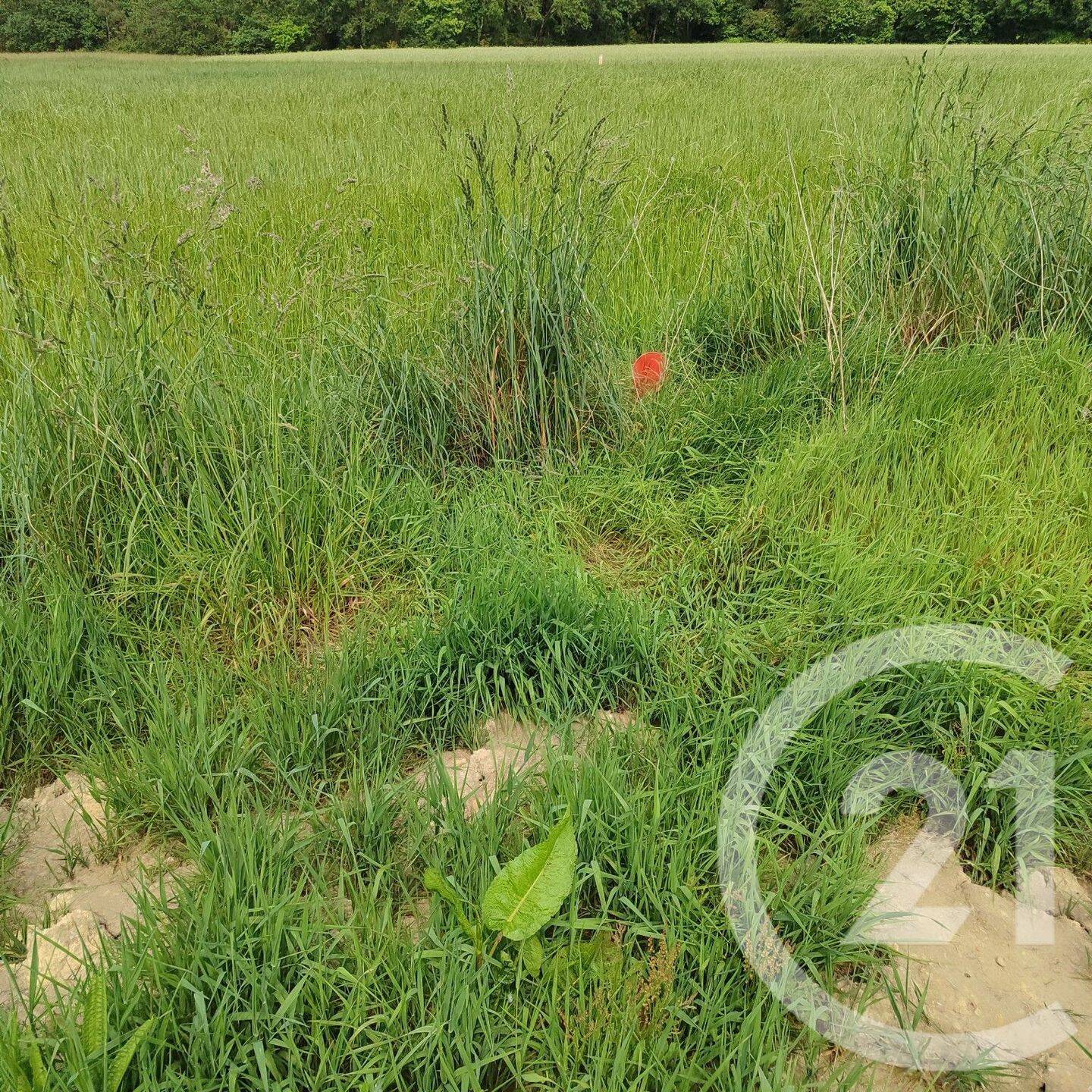 Terrain de 320 m² à Plougoumelen - photo 2