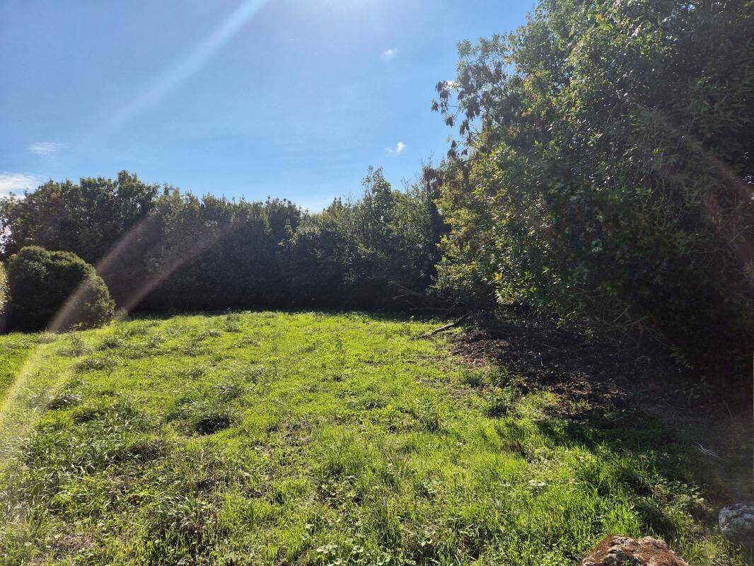 Terrain de 940 m² à Saint-Pierre-d'Oléron - photo 2