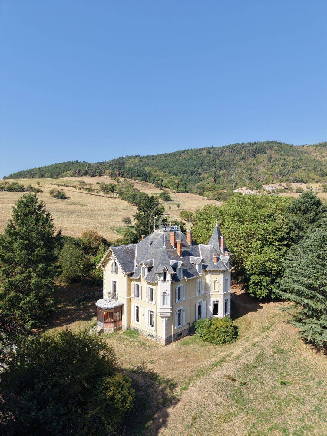 Maison 18 pièces 595 m² · à Saint-Julien-Molin-Molette · 595 m² · 1 250 000 €