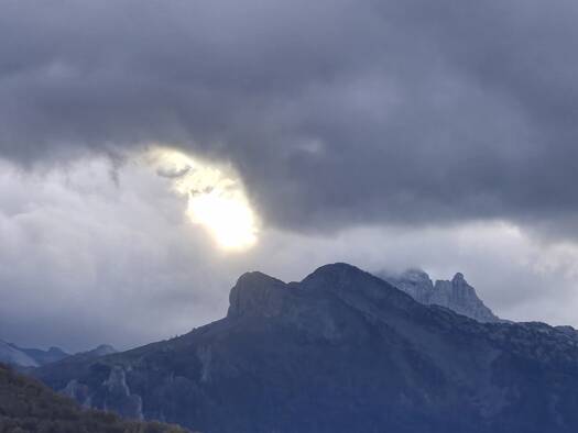 Terrain à vendre 9 900 € 3 915 m² de terrain Aydius 64490