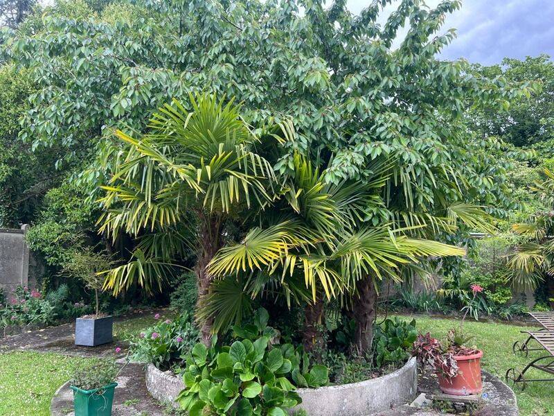 Maison 6 pièces 193 m² · à Saintes · 193 m² · 211 900 €