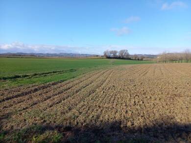 Terrain constructible à vendre 39 000 € 1 400 m² de terrain Jonquières 81440