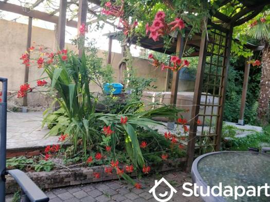 Colocation à louer - logement étudiant 540 € 1 pièce 1 chambre 11 m² RDC Tigery 91250