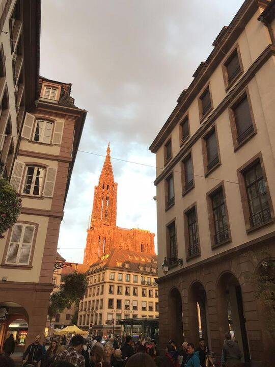 Appartement 1 pièce 15 m² · à Strasbourg · 15 m² · 550 €/mois