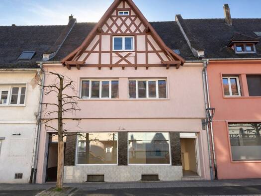 Immeuble à vendre 585 000 € 308 m² Lauterbourg 67630