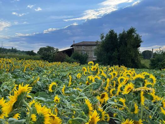 Maison à louer 1 255 € 6 pièces 3 chambres 117 m² 1 800 m² de terrain Saint-Jean-de-Galaure 26240