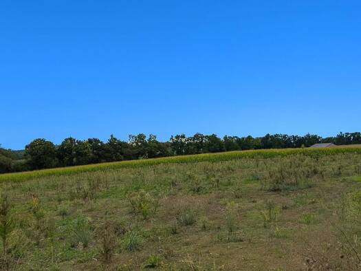 Terrain à vendre 109 000 € Savigneux 01480