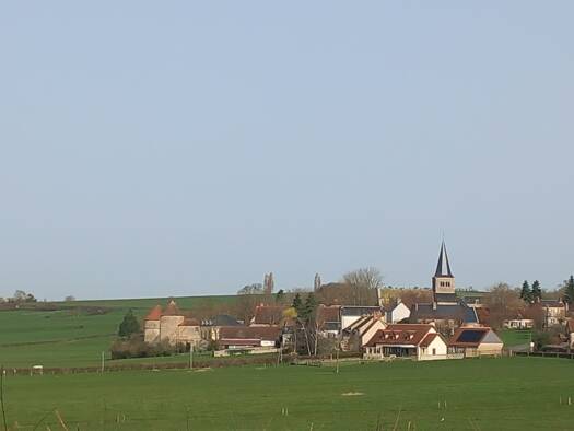 Château à vendre 441 000 € 11 pièces 6 chambres 270 m² 6 134 m² de terrain Montigny-sur-Canne 58340