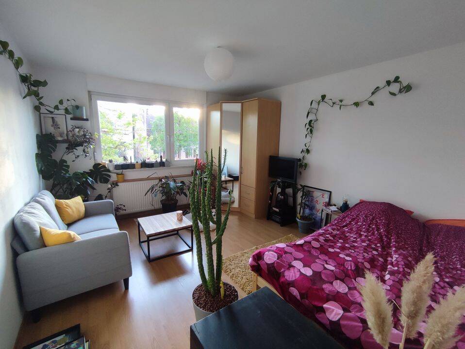 Appartement 1 pièce 31 m² · à Strasbourg · 31 m² · 655 €/mois