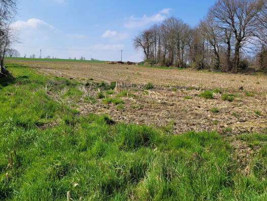 Terrain constructible à vendre 99 500 € 1 500 m² de terrain Calorguen 22100