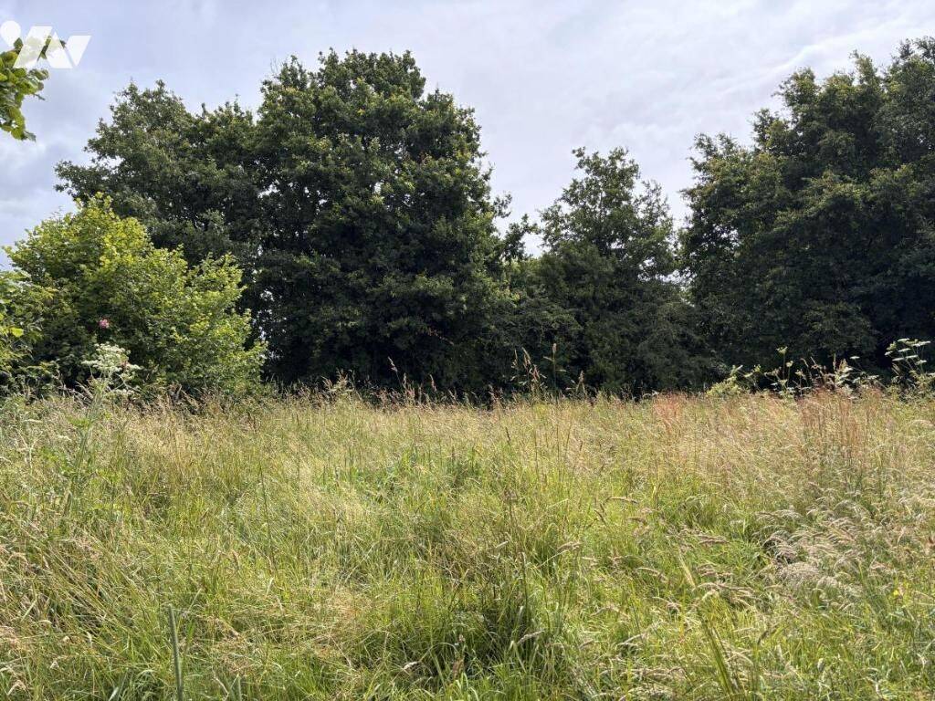 Terrain de 527 m² à Notre-Dame-des-Landes - photo 2