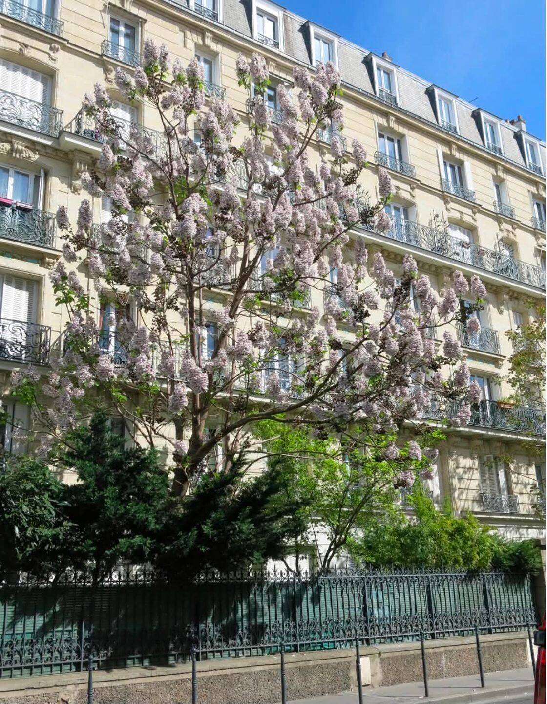 Appartement 2 pièces 47 m² · à Colombes · 47 m² · 1 230 €/mois