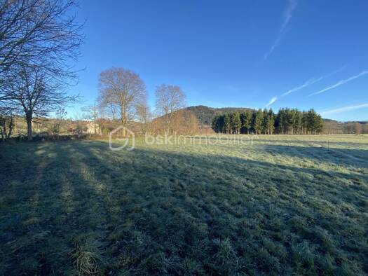 Terrain constructible à vendre 29 100 € 1 600 m² de terrain Saint-Paulien 43350