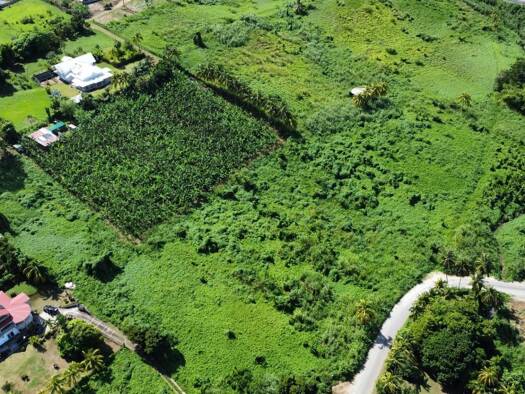 Terrain constructible à vendre 3 197 384 € 30 164 m² de terrain Goyave 97128