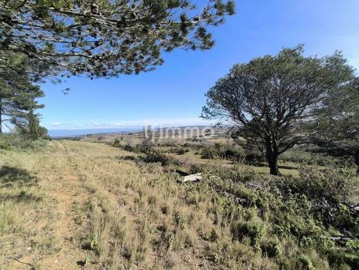 Propriété de loisirs à vendre 18 280 € 26 000 m² de terrain Moux 11200