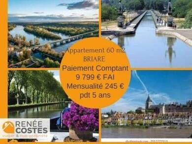 Appartement en viager occupé Bouquet 9 799 € 3 pièces 2 chambres 60 m² RDC/1 Arrabloy la Bosserie Gien 45500