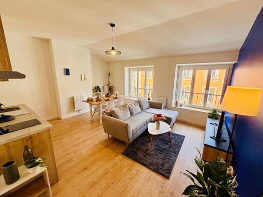 Appartement à louer 565 € 2 pièces 1 chambre 55 m² Étage 1/2 Tarentaize-Beaubrun-Severine Saint-Étienne 42000