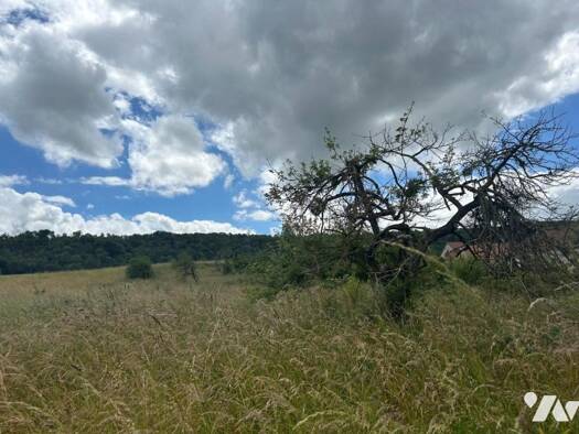 Terrain à vendre 15 000 € 3 349 m² de terrain Dormans 51700