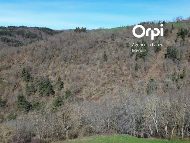 Terrain constructible à vendre 69 000 € 2 515 m² de terrain Barjac 48000