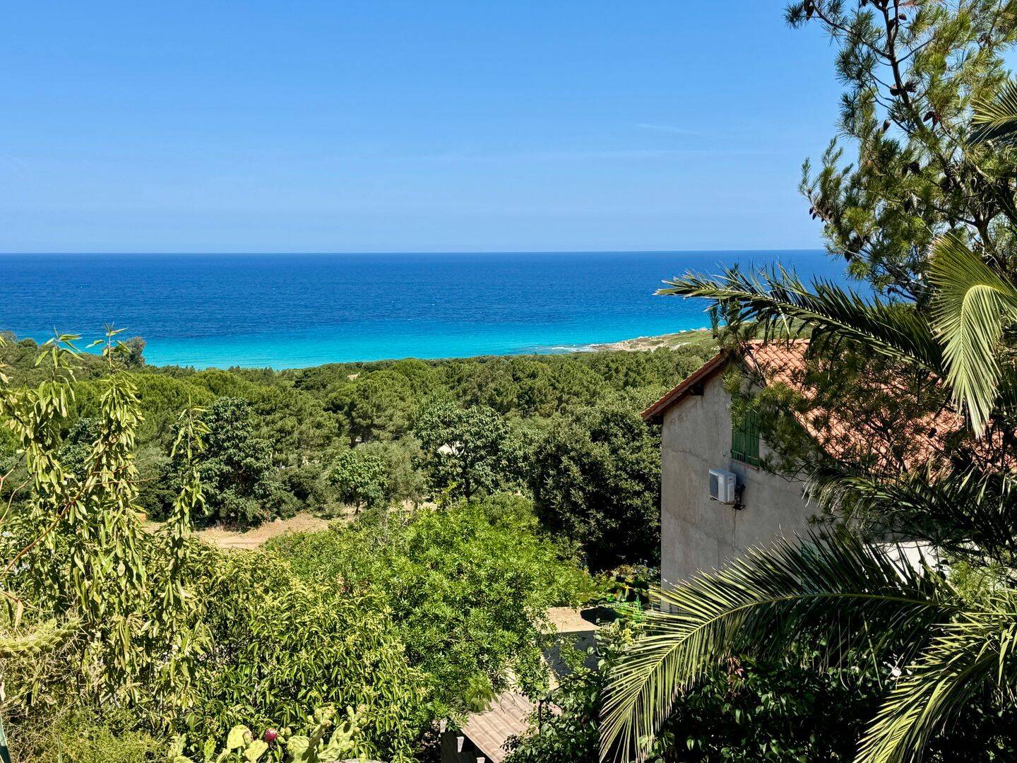 Maison 8 pièces 199 m² · à Corbara · 199 m² · 1 180 000 €