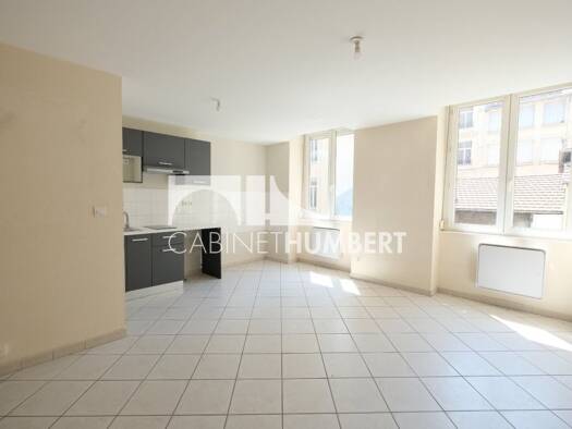Appartement à louer 450 € 2 pièces 1 chambre 41 m² Étage 1/1 Jacquard Saint-Étienne 42000