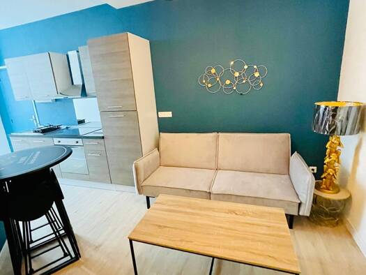 Appartement à louer 500 € 2 pièces 1 chambre 45 m² Étage 1/2 Saint-Ambroix 30500