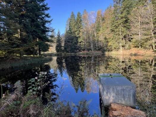 Terrain à vendre 85 000 € 9 200 m² de terrain Faucogney-et-la-Mer 70310