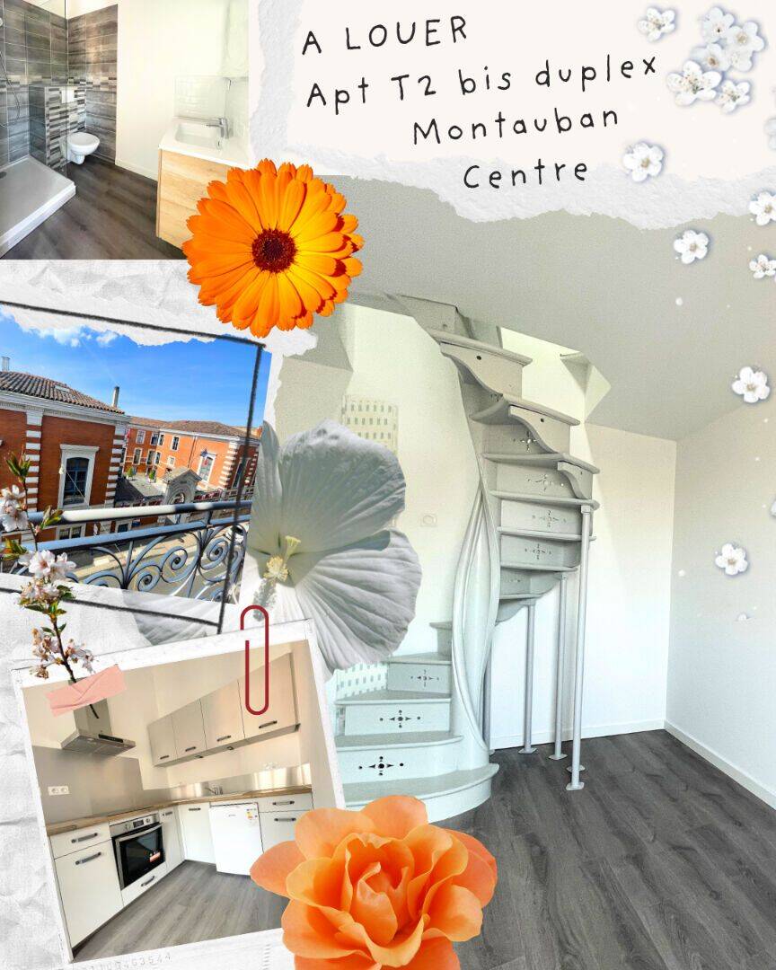 Appartement 2 pièces 46 m² · à Montauban · 46 m² · 687 €