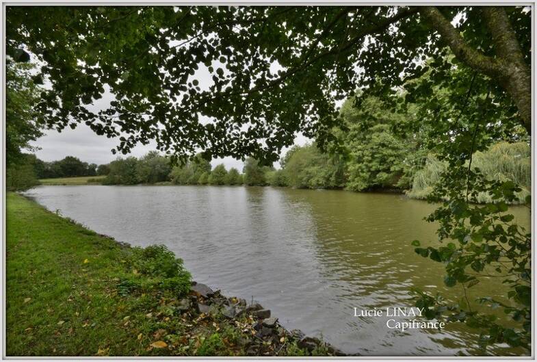 Mas à vendre 368 000 € 6 pièces 4 chambres 144 m² 49 409 m² de terrain Le Bourgneuf-la-Forêt 53410