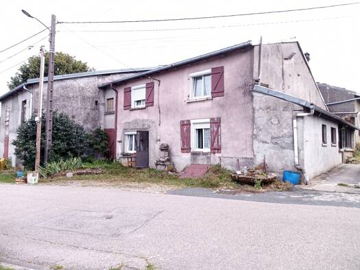 Maison à vendre 65 000 € 5 pièces 2 chambres 122 m² 1 600 m² de terrain Gorhey 88390