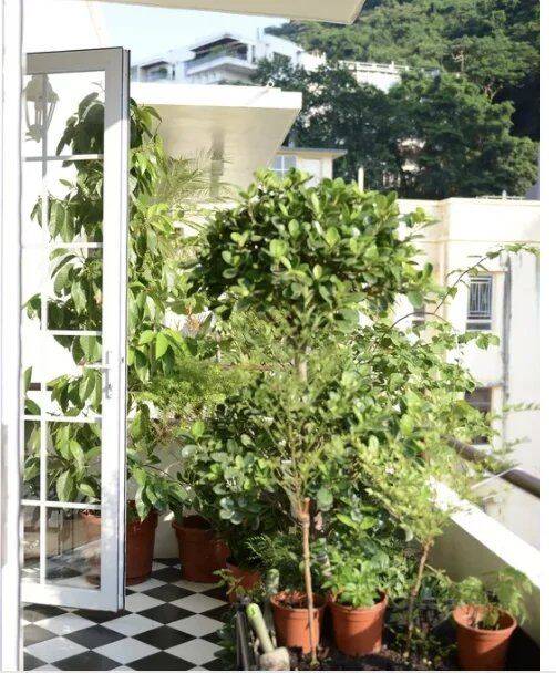 Appartement 4 pièces 82 m² · à Clamart · 82 m² · 654 100 €