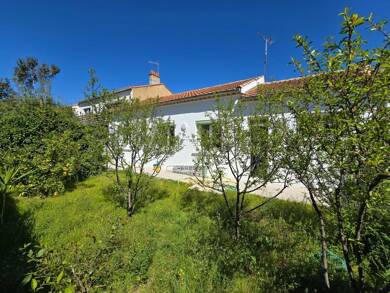 Maison de plain-pied à louer 1 340 € 4 pièces 3 chambres 97 m² 300 m² de terrain Cassayet Narbonne 11100