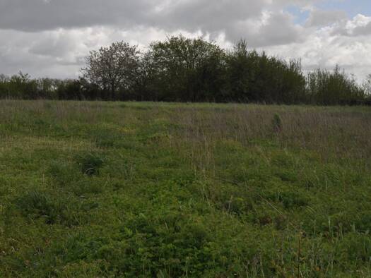 Terrain constructible à vendre 55 000 € 4 979 m² de terrain Sud Saint-Jean-d'Angély 17400